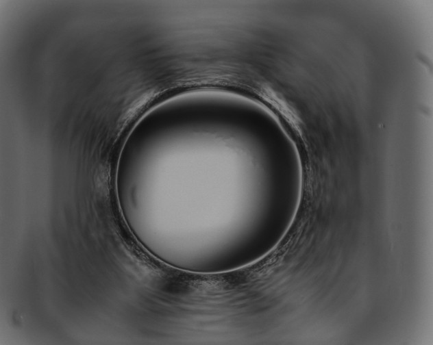 X0000093230107200710031506