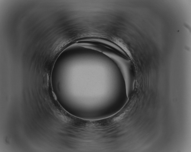 X0000093230109200710031506