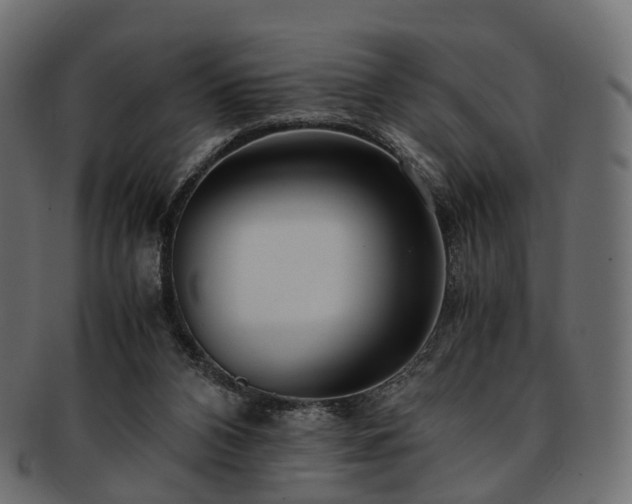 X0000093230112200710031506