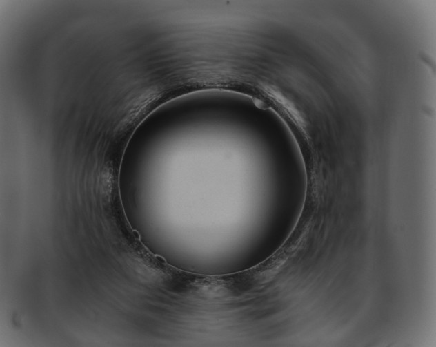 X0000093230113200710031506