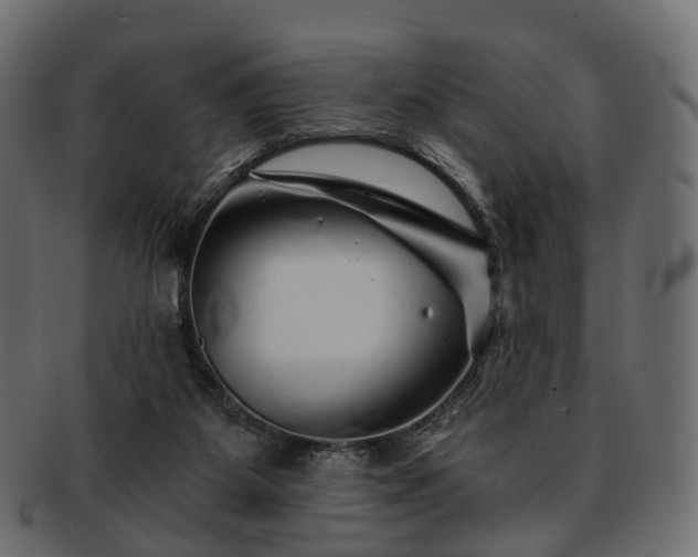 X0000093230115200710031506