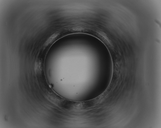 X0000093230116200710031506