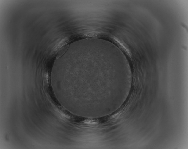 X0000093230117200710031506