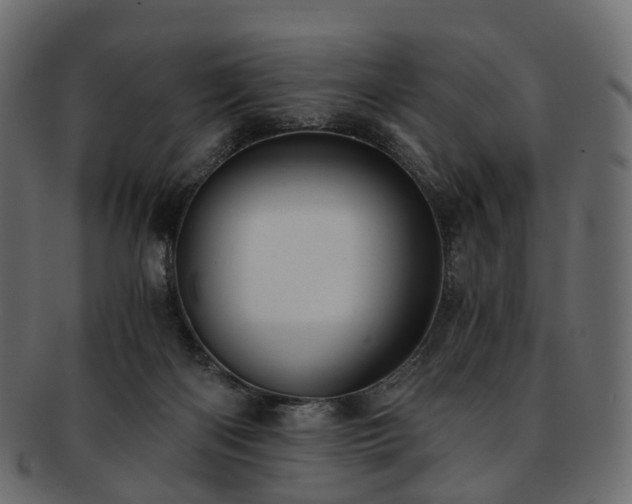 X0000093230122200710031506