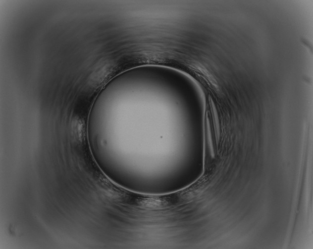 X0000093230123200710031506