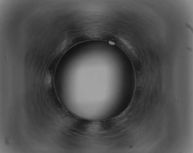 X0000093230124200710031506