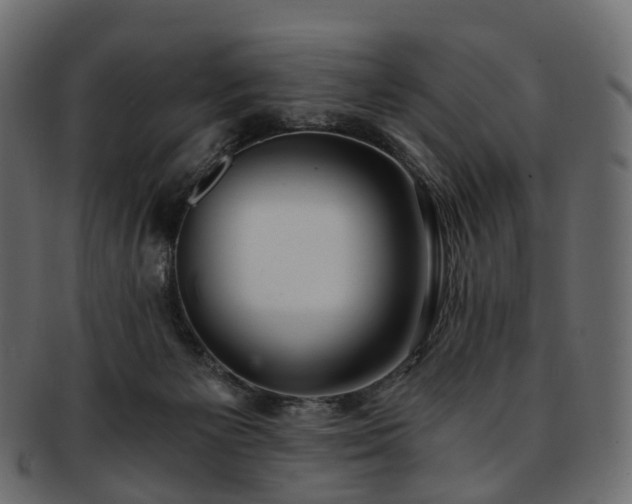 X0000093230125200710031506