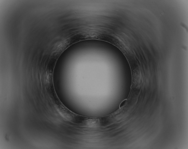 X0000093230126200710031506