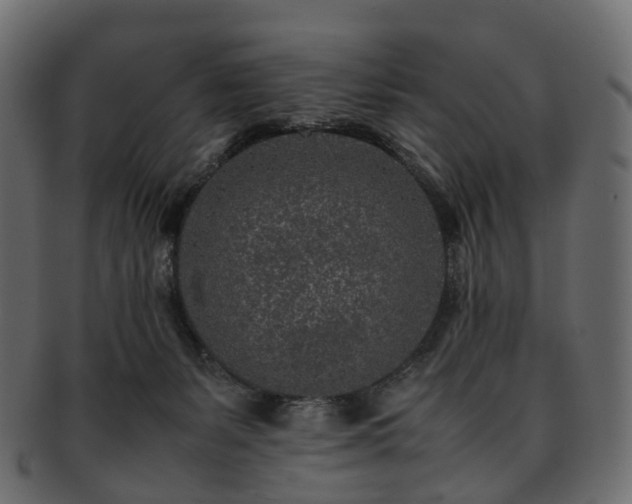 X0000093230127200710031506