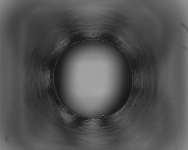 X0000093230128200710031506