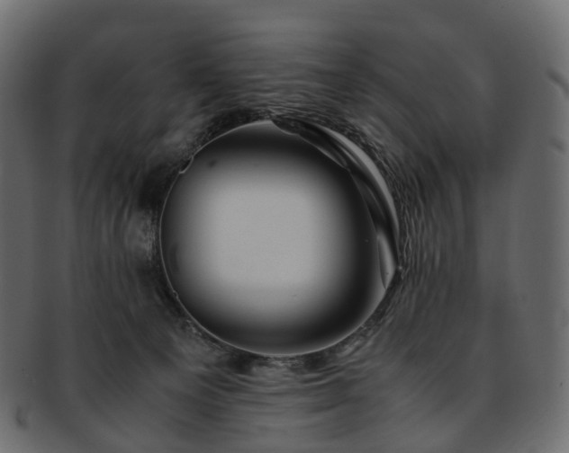 X0000093230129200710031506