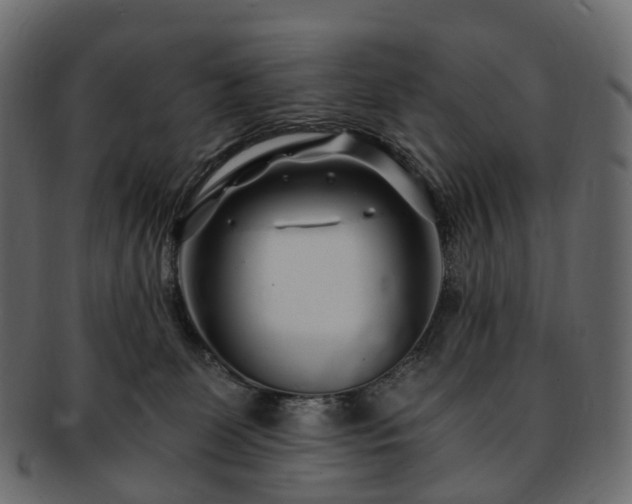 X0000093230131200710031506