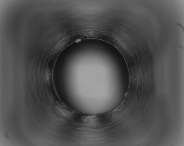 X0000093230132200710031506