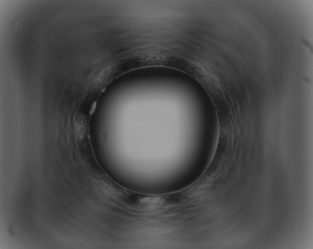 X0000093230133200710031506