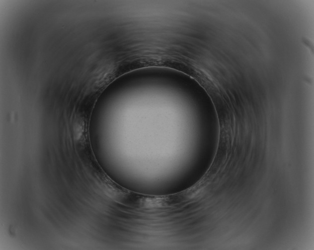 X0000093230134200710031506