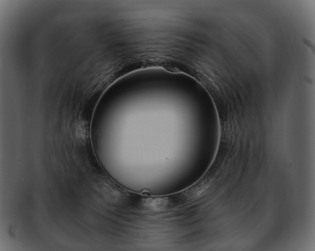 X0000093230135200710031506