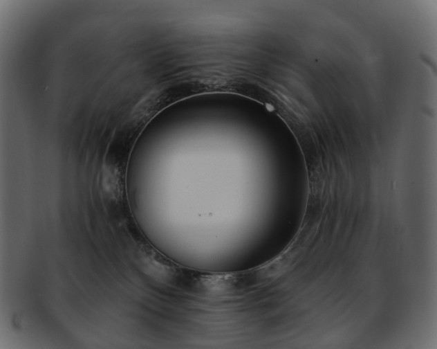 X0000093230136200710031506