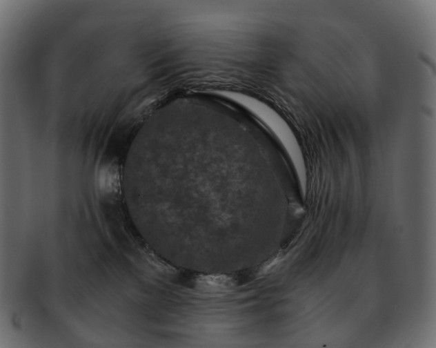 X0000093230137200710031506