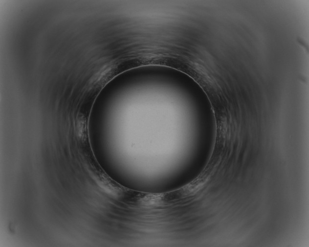 X0000093230138200710031506