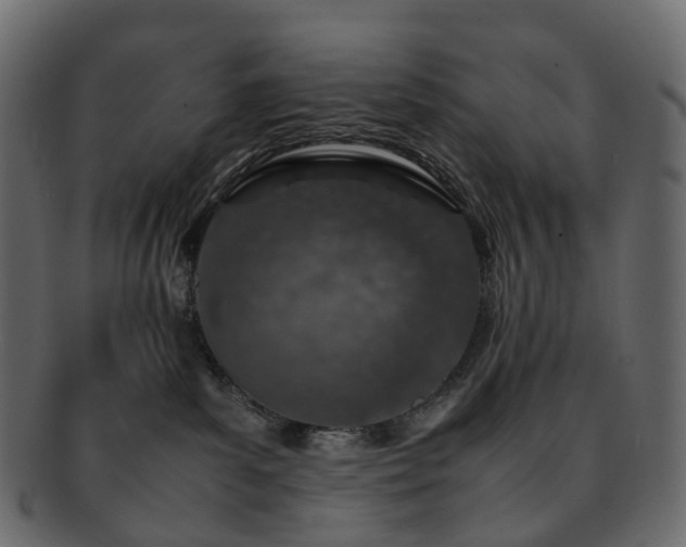 X0000093230139200710031506