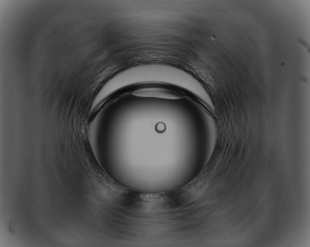 X0000093230141200710031505