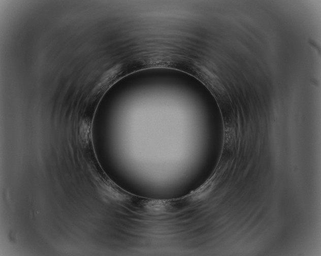 X0000093230142200710031505