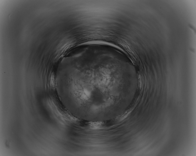 X0000093230143200710031505