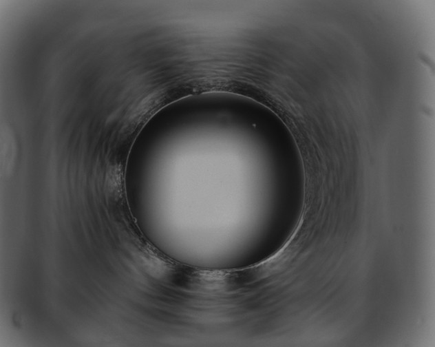 X0000093230144200710031505