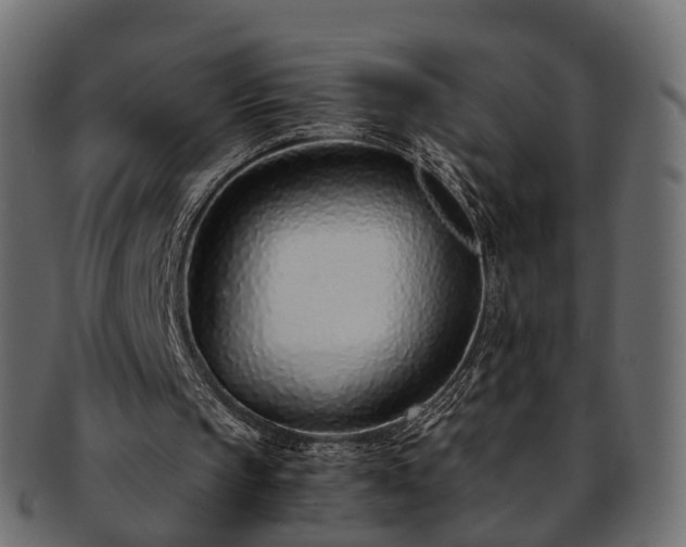 X0000093230145200710031505