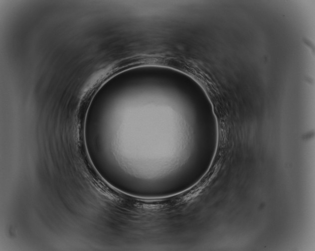 X0000093230149200710031505