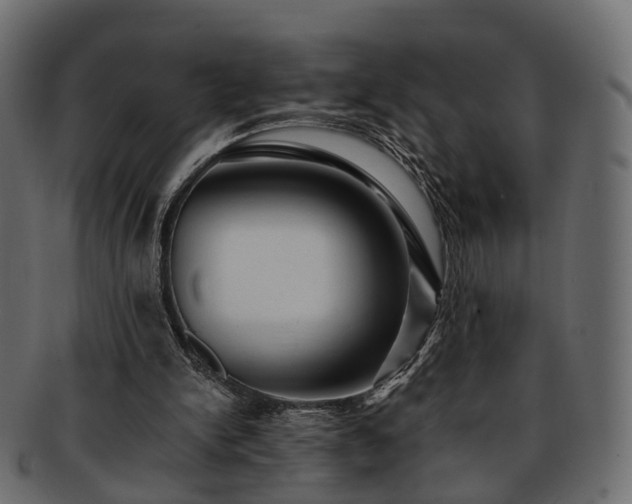 X0000093230150200710031505