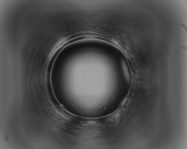 X0000093230151200710031505