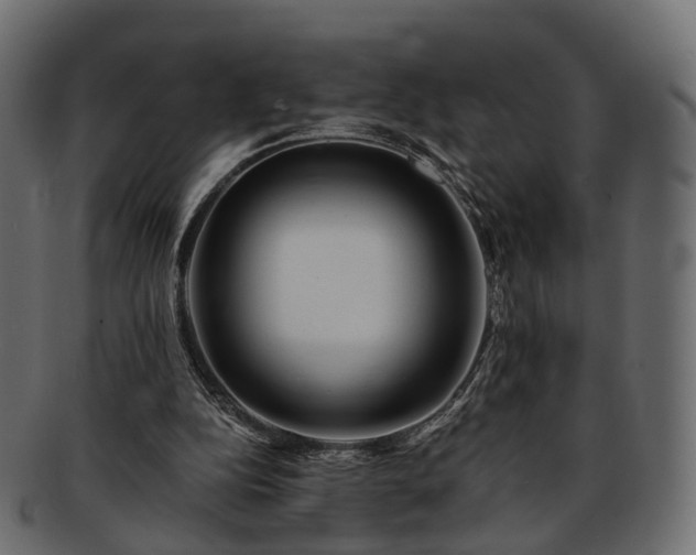 X0000093230152200710031505