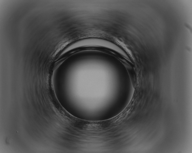 X0000093230154200710031505