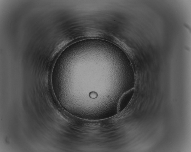 X0000093230155200710031505