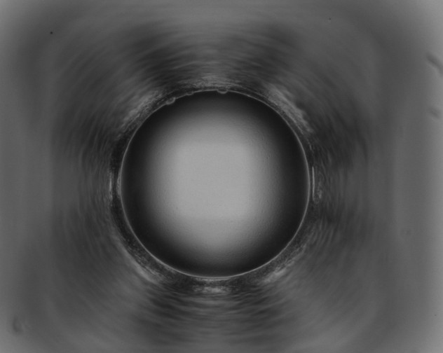 X0000093230157200710031505