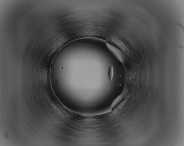 X0000093230158200710031505