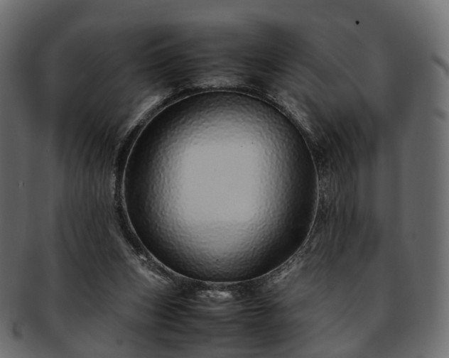 X0000093230159200710031505