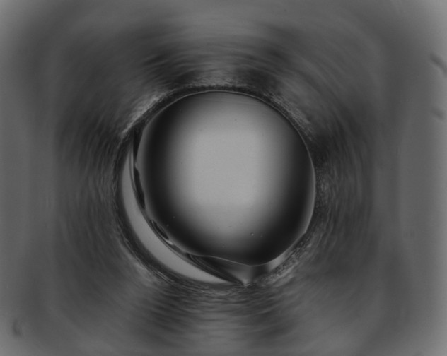 X0000093230160200710031505