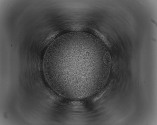 X0000093230161200710031505