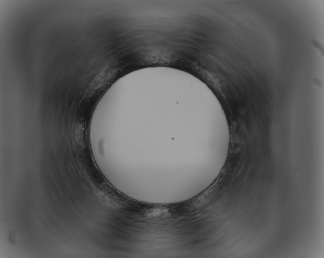 X0000093230162200710031505