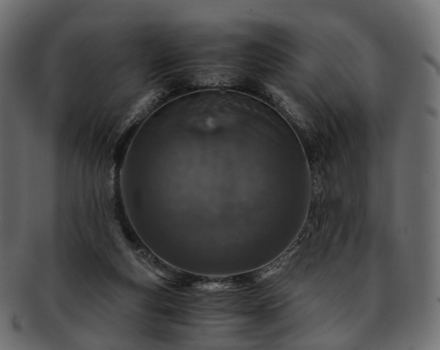 X0000093230163200710031505