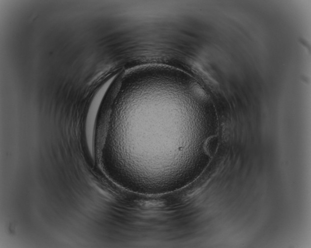 X0000093230165200710031505