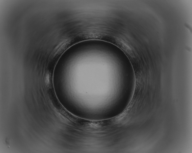 X0000093230166200710031505