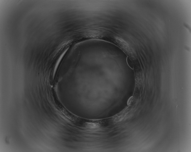 X0000093230167200710031505