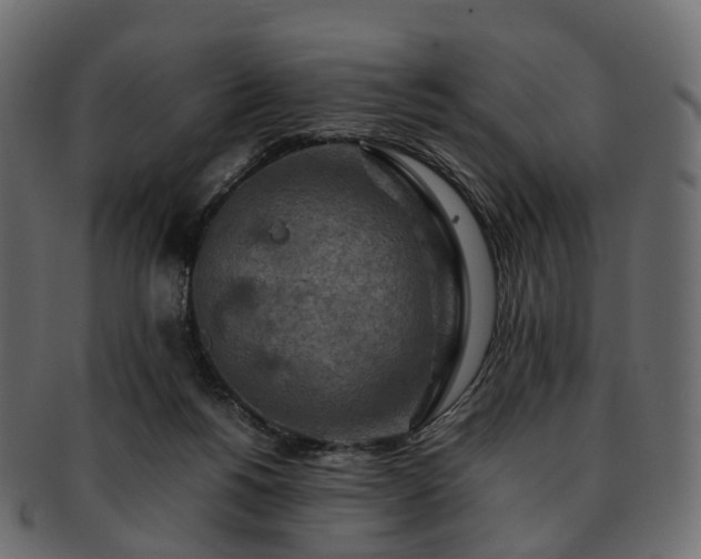 X0000093230168200710031505