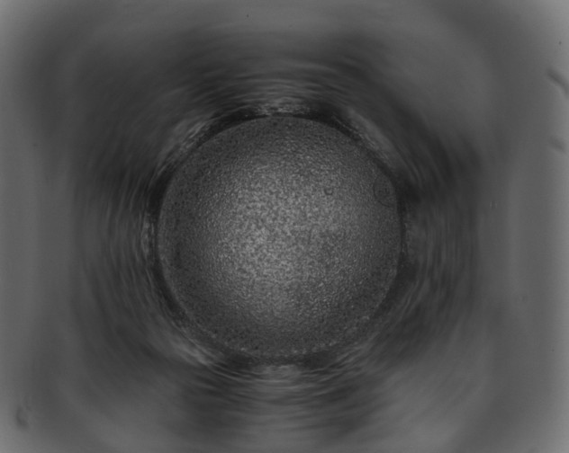 X0000093230169200710031505