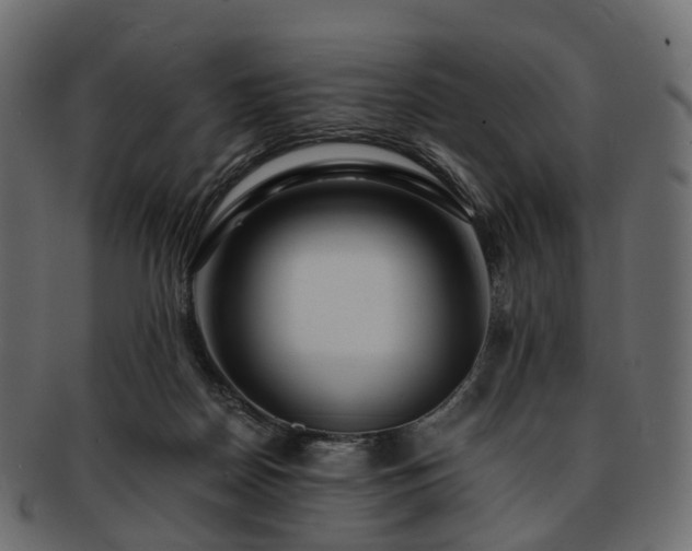 X0000093230170200710031505