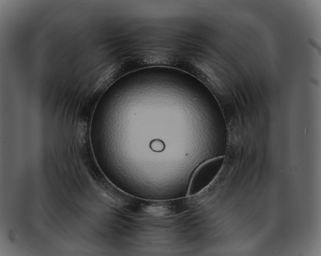 X0000093230171200710031505