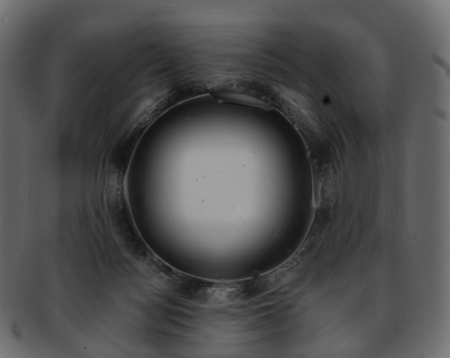 X0000093230172200710031505